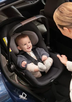 Babyschale 'ARRA flex' Chestnut