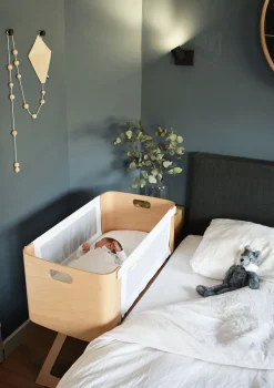 Beistellbett 'Bednest' inkl. Matratze 82 x 37 cm