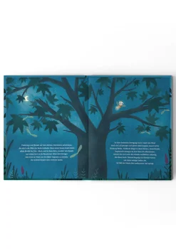 Buch 'Vielfalt beflügelt'