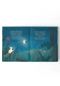 Buch 'Vielfalt beflügelt'