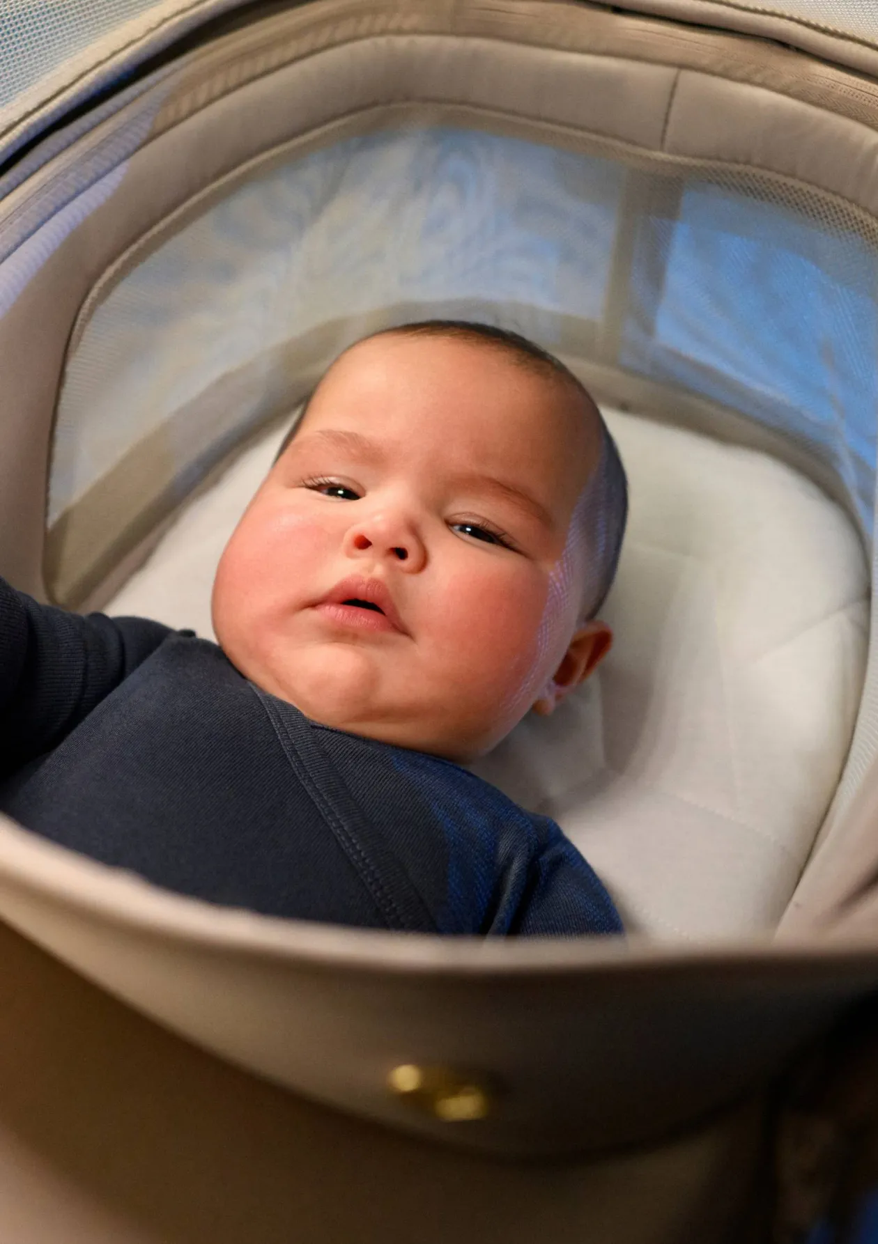 Buggy 'Fame Cabin' Sapphire Sand