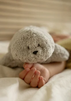 Einschlaf-Robbe mit Licht 'Organic Humming Seal' Gray