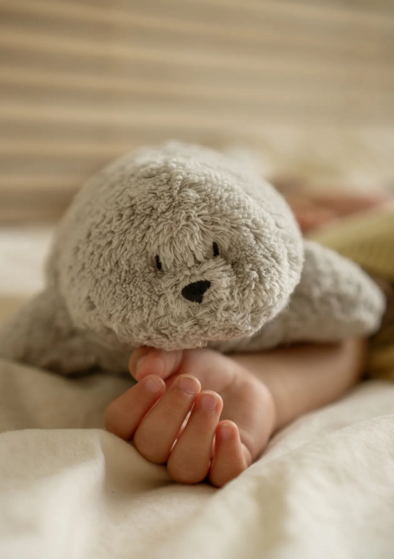 Einschlaf-Robbe mit Licht 'Organic Humming Seal' Gray