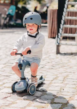 2in1 Kickboard 'Highway Kick 1' steel