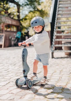 2in1 Kickboard 'Highway Kick 1' steel