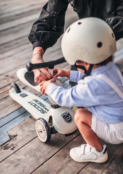 2in1 Kickboard 'Highway Kick 1' ash