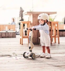 2in1 Kickboard 'Highway Kick 1' ash