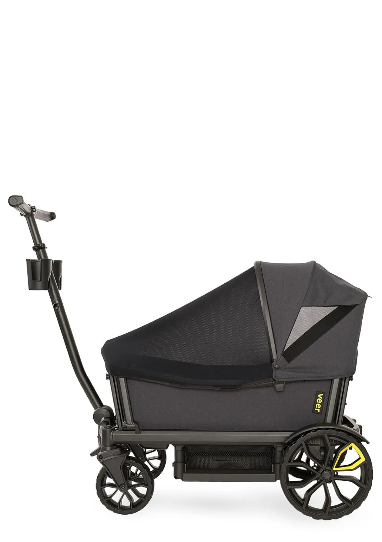 Insektenschutz schwarz