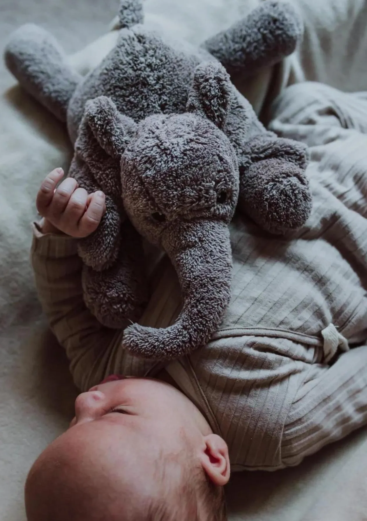 Kuscheltier Elefant mit Herzschlag 'George' grau