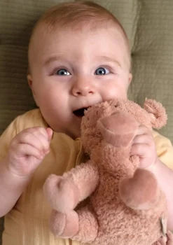 Kuscheltier Schwein 'Little Farm' 17 cm