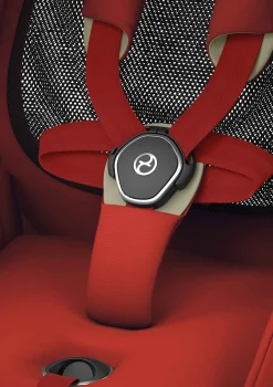 Mios 3.0 Buggy-Set Autumn Gold