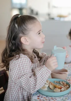 Silikon Teller mit Saugnapf Cambridge Blue