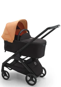 Sonnendach für 'Dragonfly' Koralle