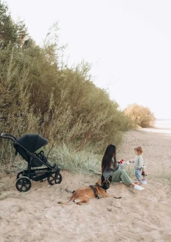 Sportwagen 'Mono 3' Olive