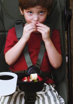 Tray Adapter für 'Butterfly 2'